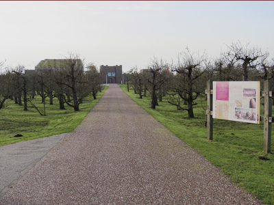 851362 Afbeelding van de noordelijke toegangsweg, lopend door een boomgaard, tot het Castellum Hoge Woerd (Hoge ...